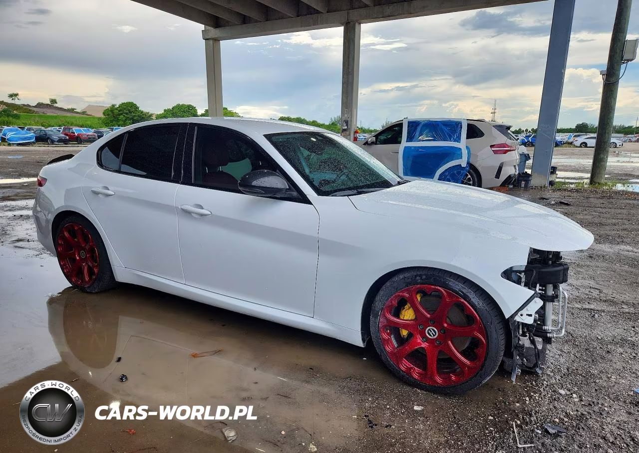 2020 Alfa Romeo Giulia VIN:ZARFAMAN0L7638534 - 4