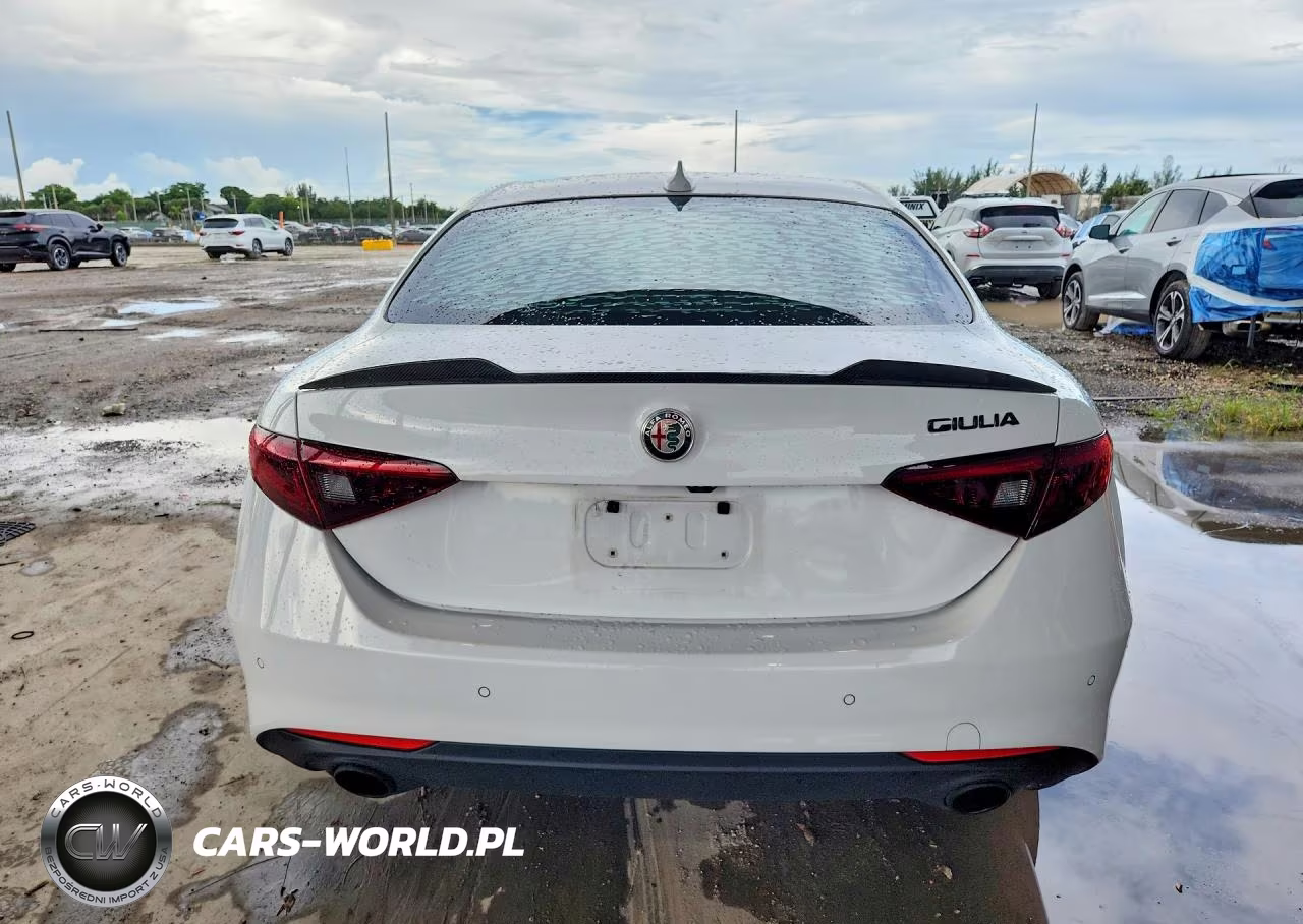 2020 Alfa Romeo Giulia VIN:ZARFAMAN0L7638534 - 6