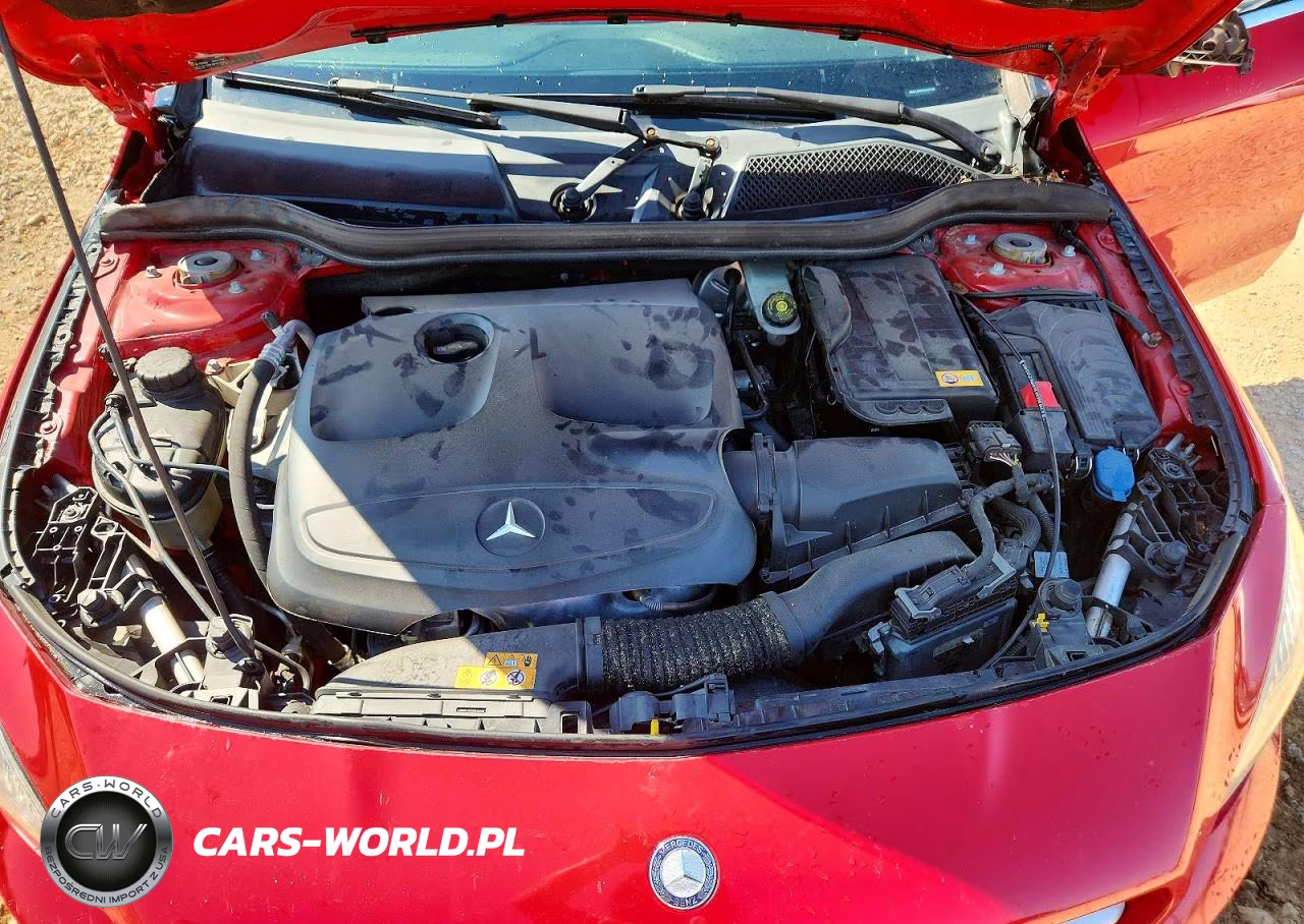 2014 Mercedes-Benz Cla 250 VIN:WDDSJ4EB9EN037636 - 11