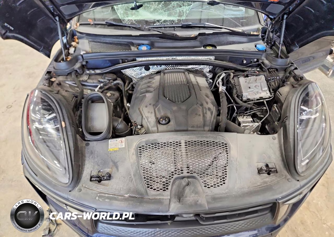 2023 Porsche Macan Base VIN:WP1AA2A51PLB06827 - 12