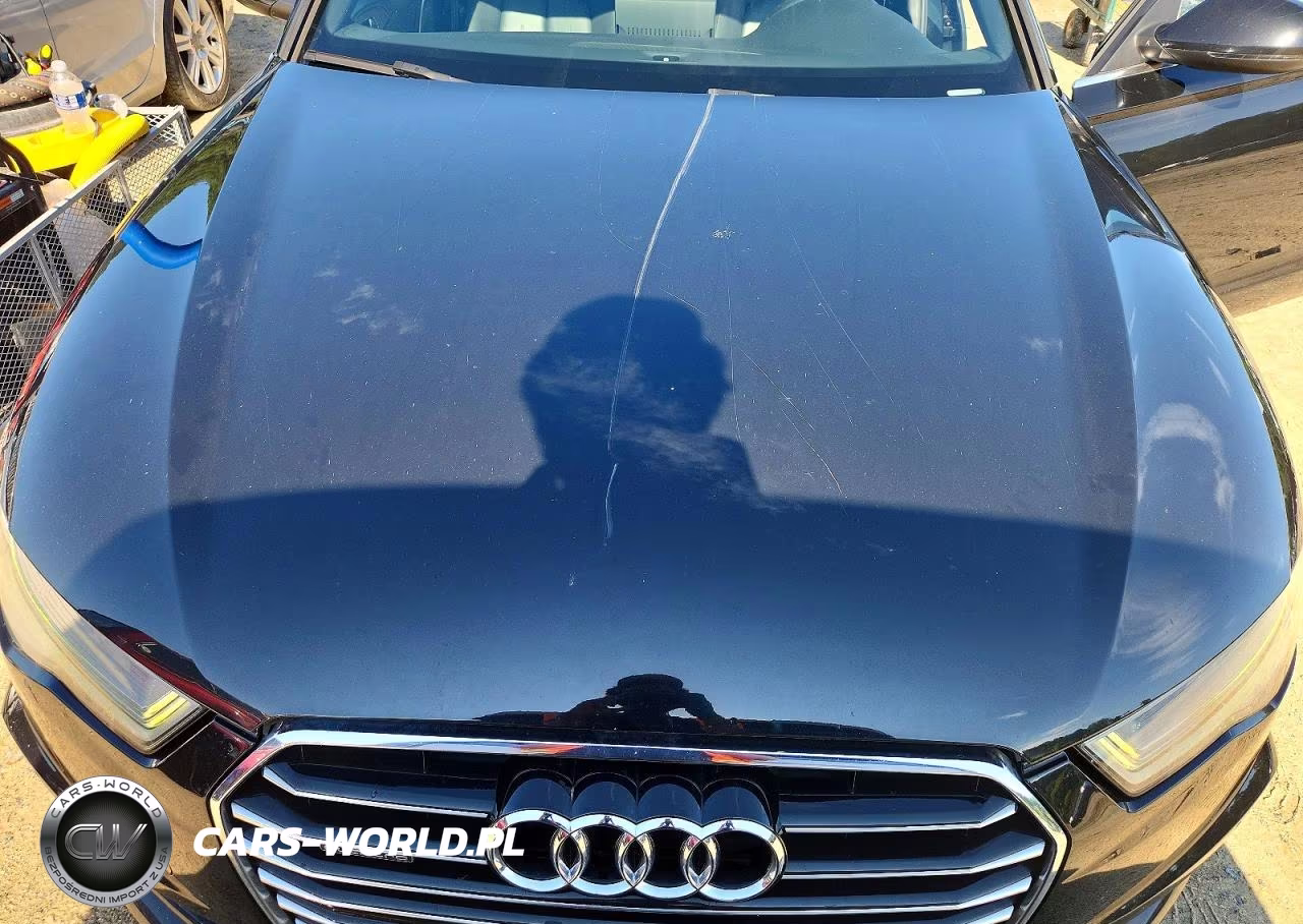 2017 Audi A6 Premium VIN:WAUF8AFC5HN047952 - 11