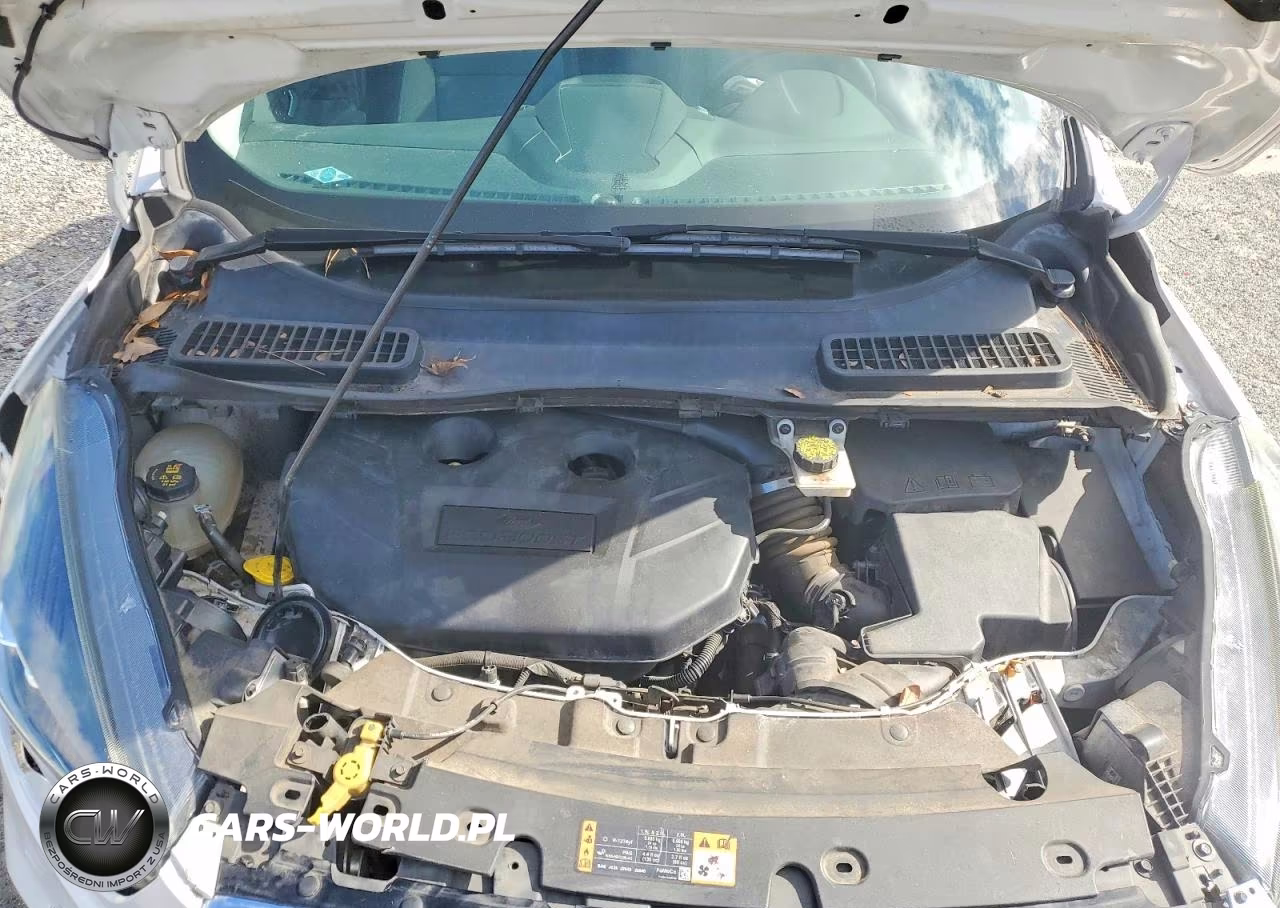 2017 Ford Escape Titanium VIN:1FMCU0J9XHUB73149 - 12