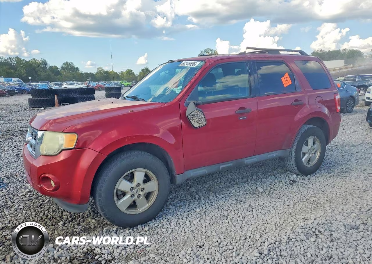 2010 Ford Escape Xlt