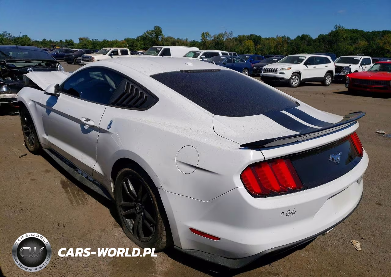2017 Ford Mustang VIN:1FA6P8TH3H5357263 - 2