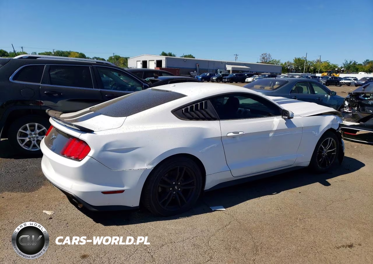 2017 Ford Mustang VIN:1FA6P8TH3H5357263 - 3