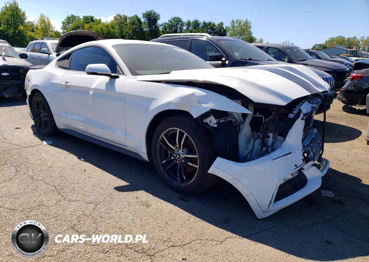 2017 Ford Mustang VIN:1FA6P8TH3H5357263 - 4