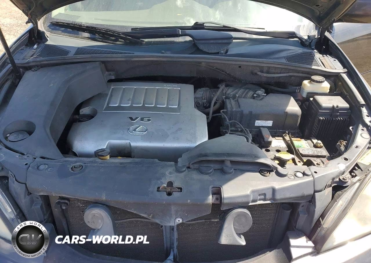 2009 Lexus Rx 350 VIN:2T2HK31U09C121397 - 12