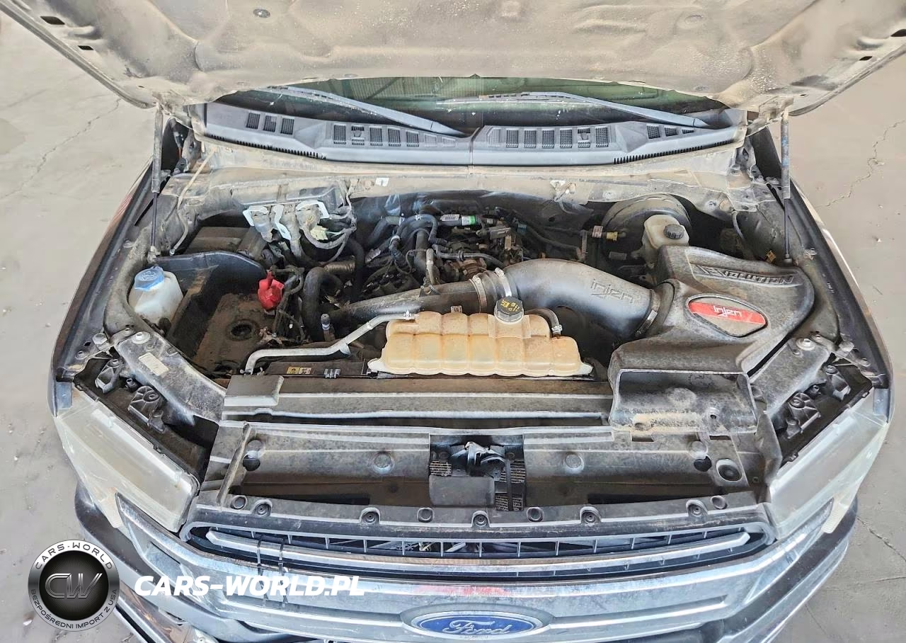 2020 Ford F150 Supercrew VIN:1FTEW1CP0LFB81850 - 11