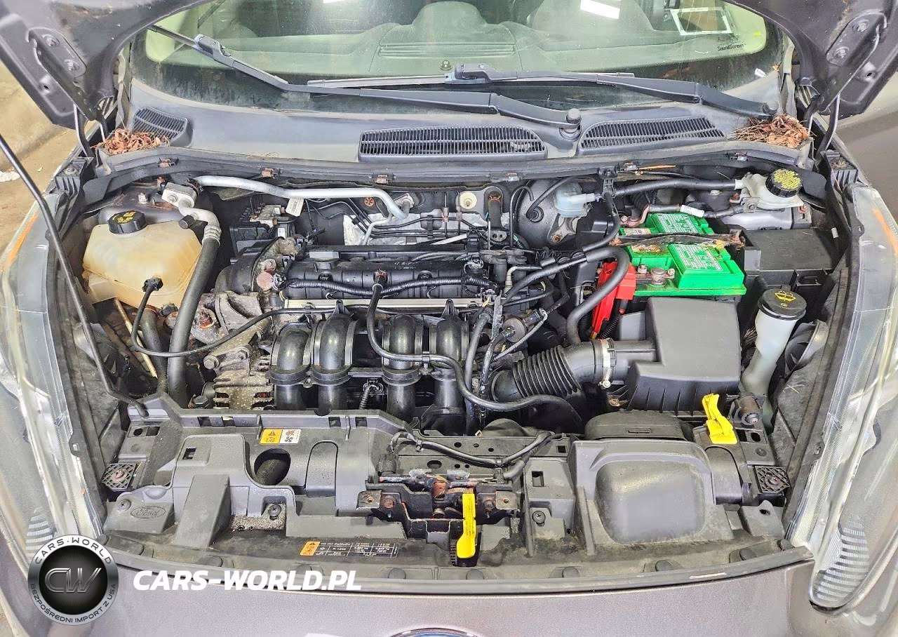 2014 Ford Fiesta Se VIN:3FADP4BJ5EM168270 - 11