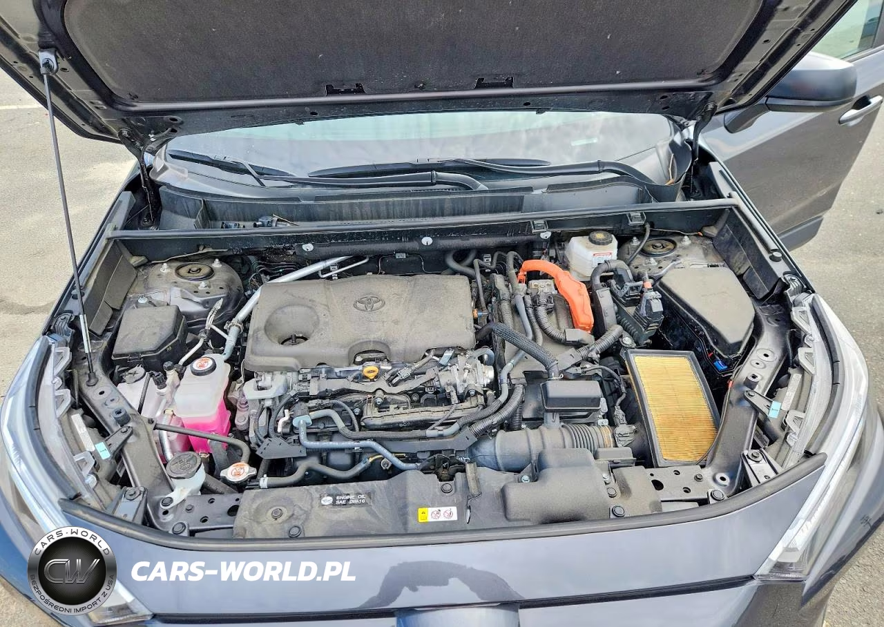 2024 Toyota Rav4 Le VIN:2T3LWRFV2RW245264 - 12