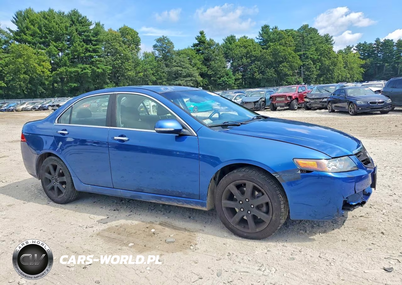 2005 Acura Tsx VIN:JH4CL96875C001933 - 4
