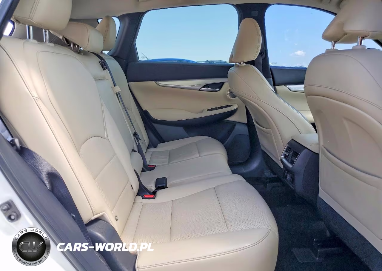 2019 Infiniti Qx50 Essential VIN:3PCAJ5M13KF114144 - 11