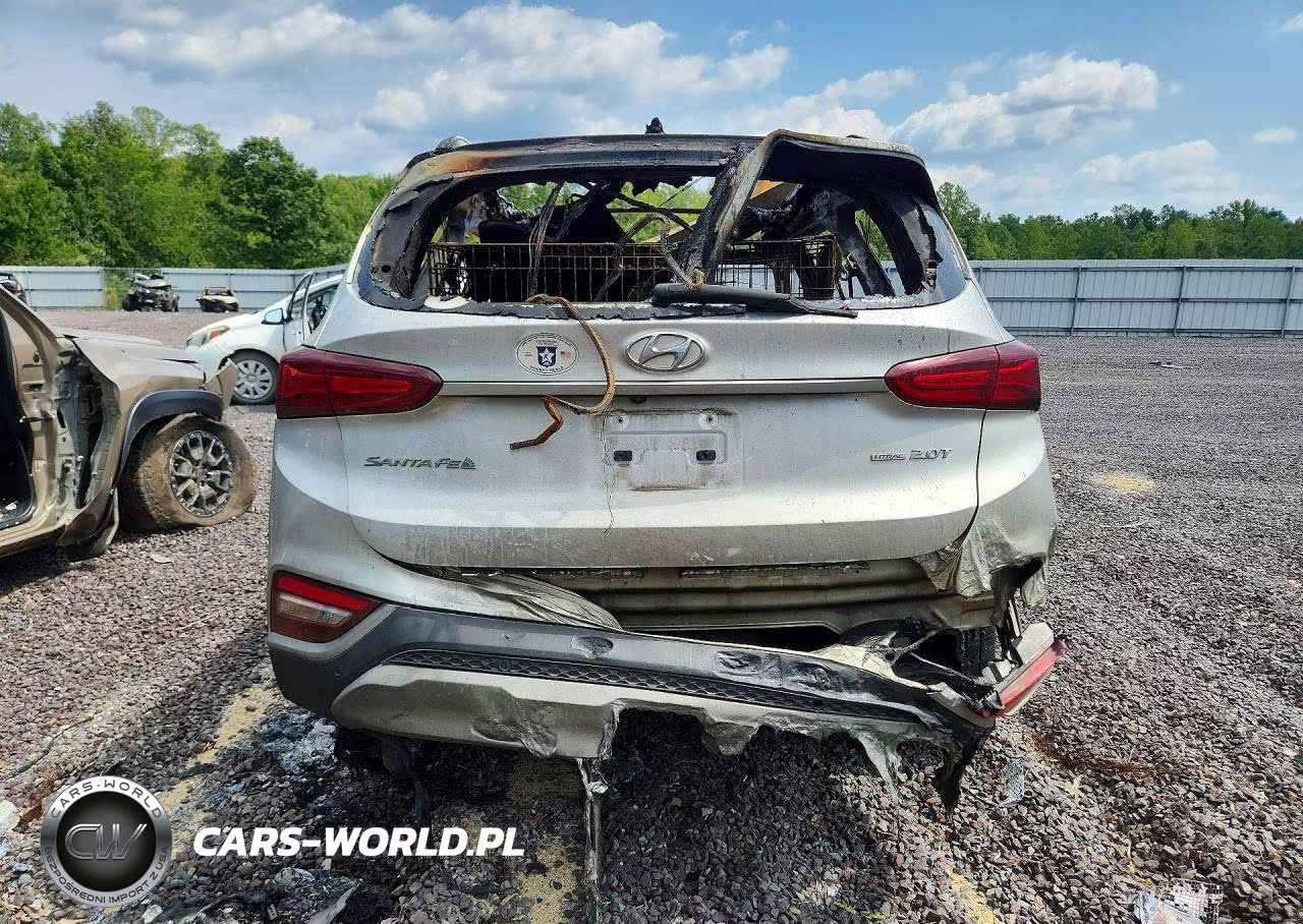2019 Hyundai Santa Fe Limited 2.0T VIN:5NMS5CAA5KH118504 - 6