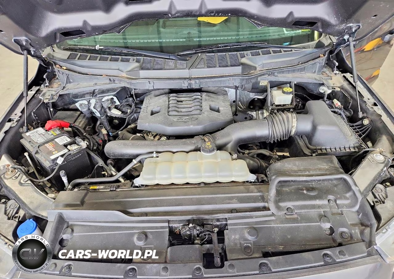 2021 Ford F150 Supercrew VIN:1FTFW1E84MFB18052 - 11