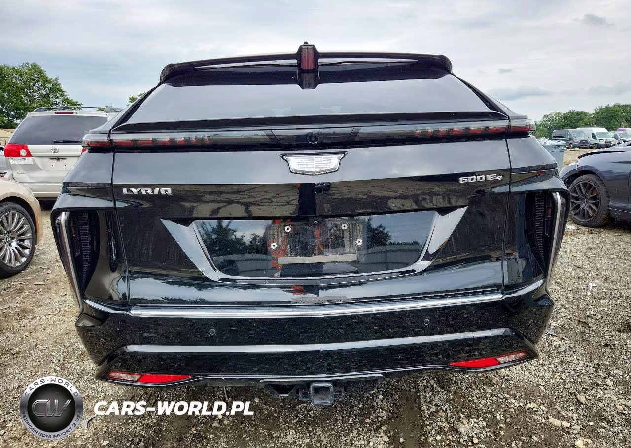 2024 Cadillac Lyriq Luxury VIN:1GYKPSRL6RZ132731 - 6