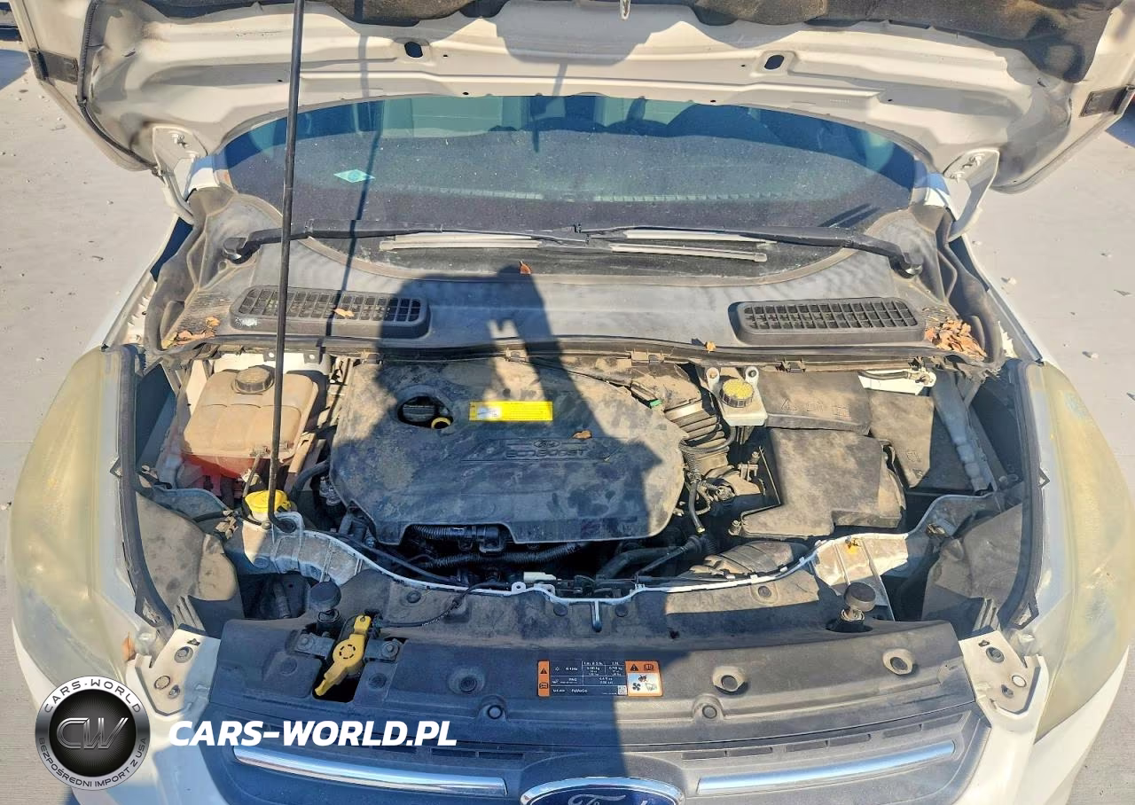 2016 Ford Escape Se VIN:1FMCU0GX6GUA65986 - 12