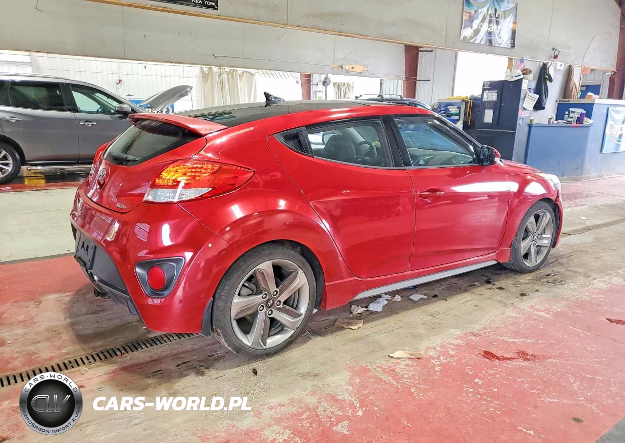 2013 Hyundai Veloster Turbo VIN:KMHTC6AE5DU094713 - 3