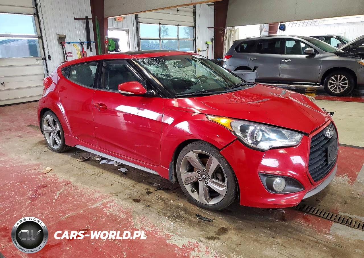 2013 Hyundai Veloster Turbo VIN:KMHTC6AE5DU094713 - 4