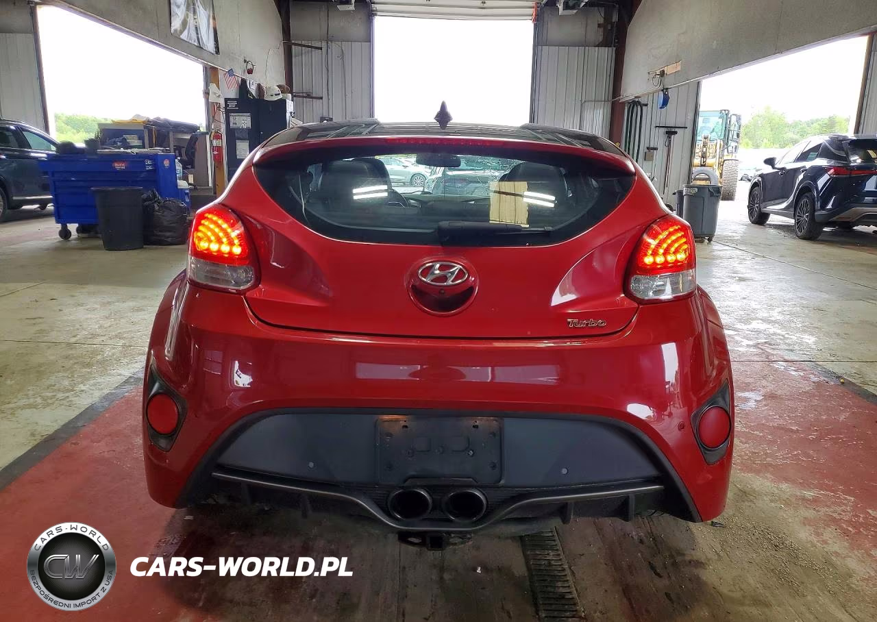 2013 Hyundai Veloster Turbo VIN:KMHTC6AE5DU094713 - 6
