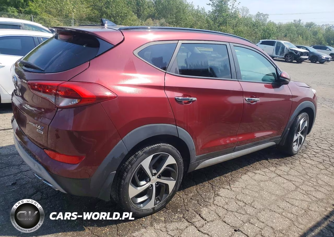 2017 Hyundai Tucson Limited VIN:KM8J3CA29HU296407 - 3