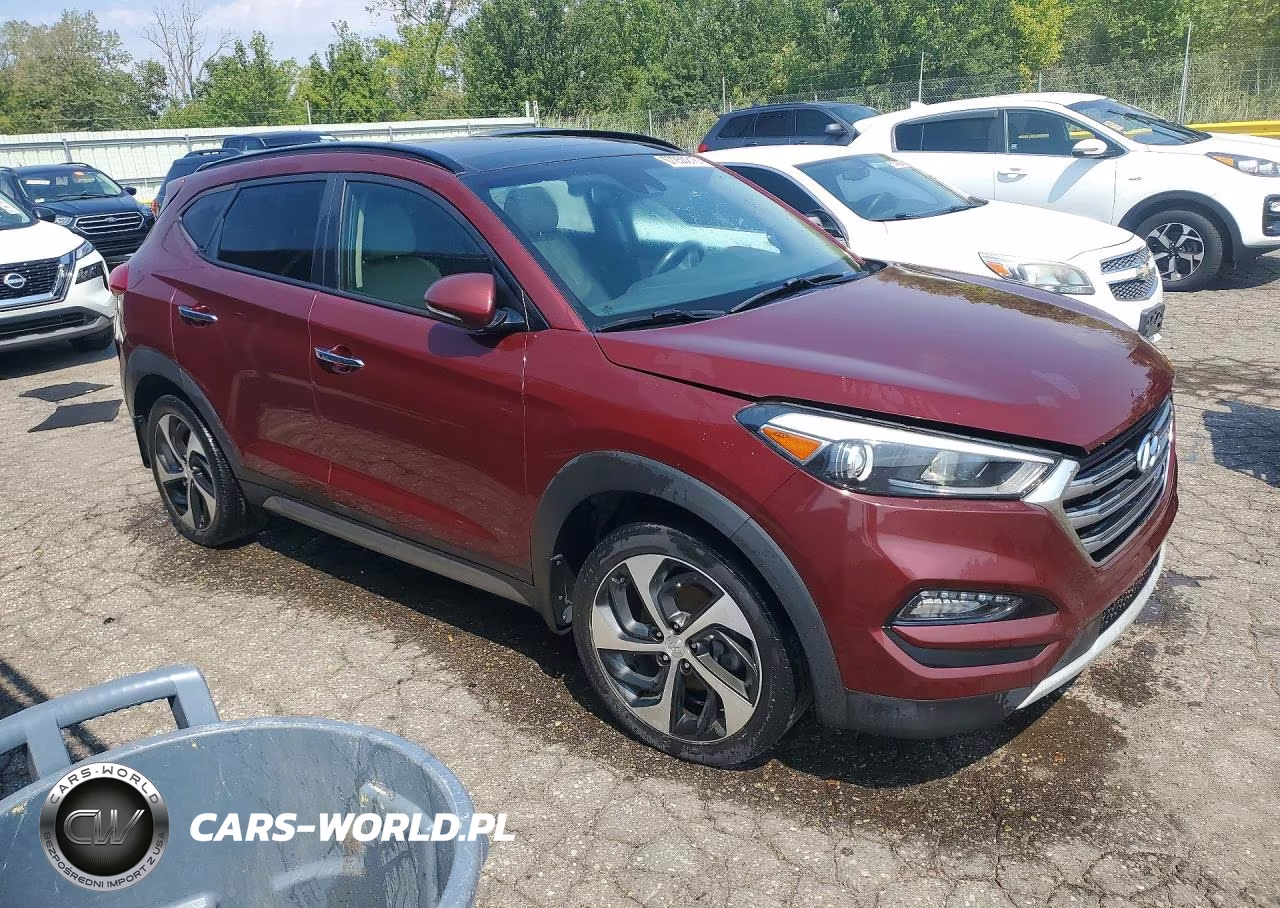 2017 Hyundai Tucson Limited VIN:KM8J3CA29HU296407 - 4