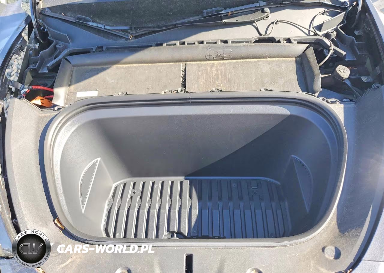 2024 Tesla Model Y VIN:7SAYGDEE3RF184619 - 11