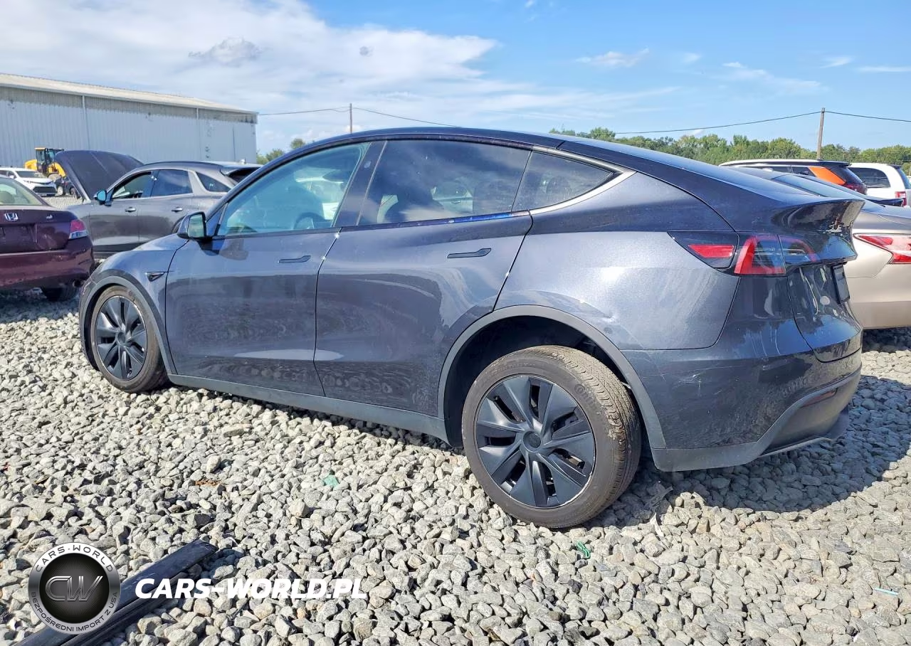 2024 Tesla Model Y VIN:7SAYGDEE3RF184619 - 2