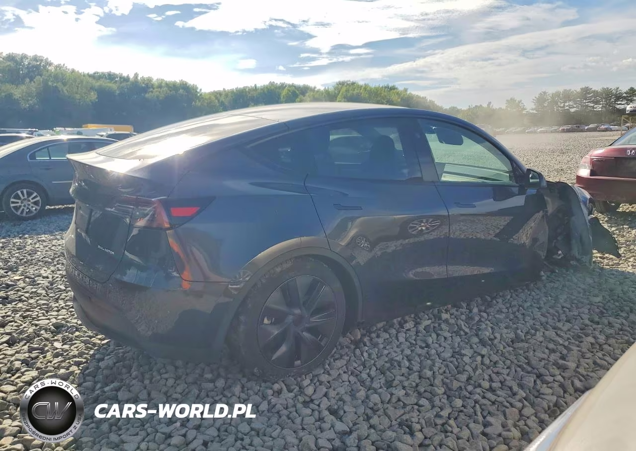 2024 Tesla Model Y VIN:7SAYGDEE3RF184619 - 3