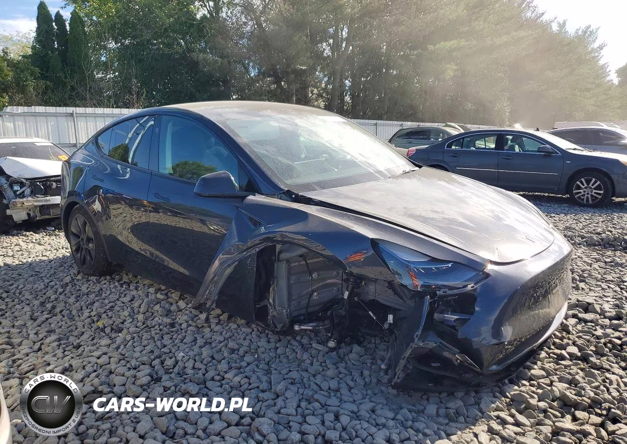 2024 Tesla Model Y VIN:7SAYGDEE3RF184619 - 4