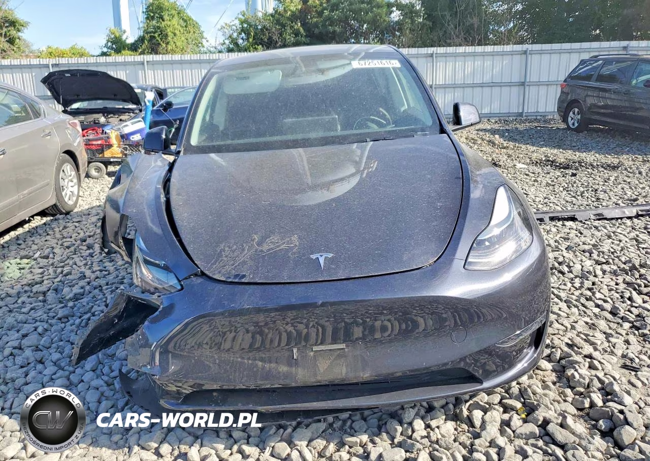 2024 Tesla Model Y VIN:7SAYGDEE3RF184619 - 5
