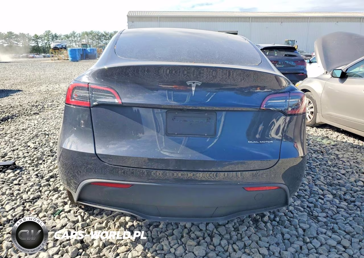 2024 Tesla Model Y VIN:7SAYGDEE3RF184619 - 6