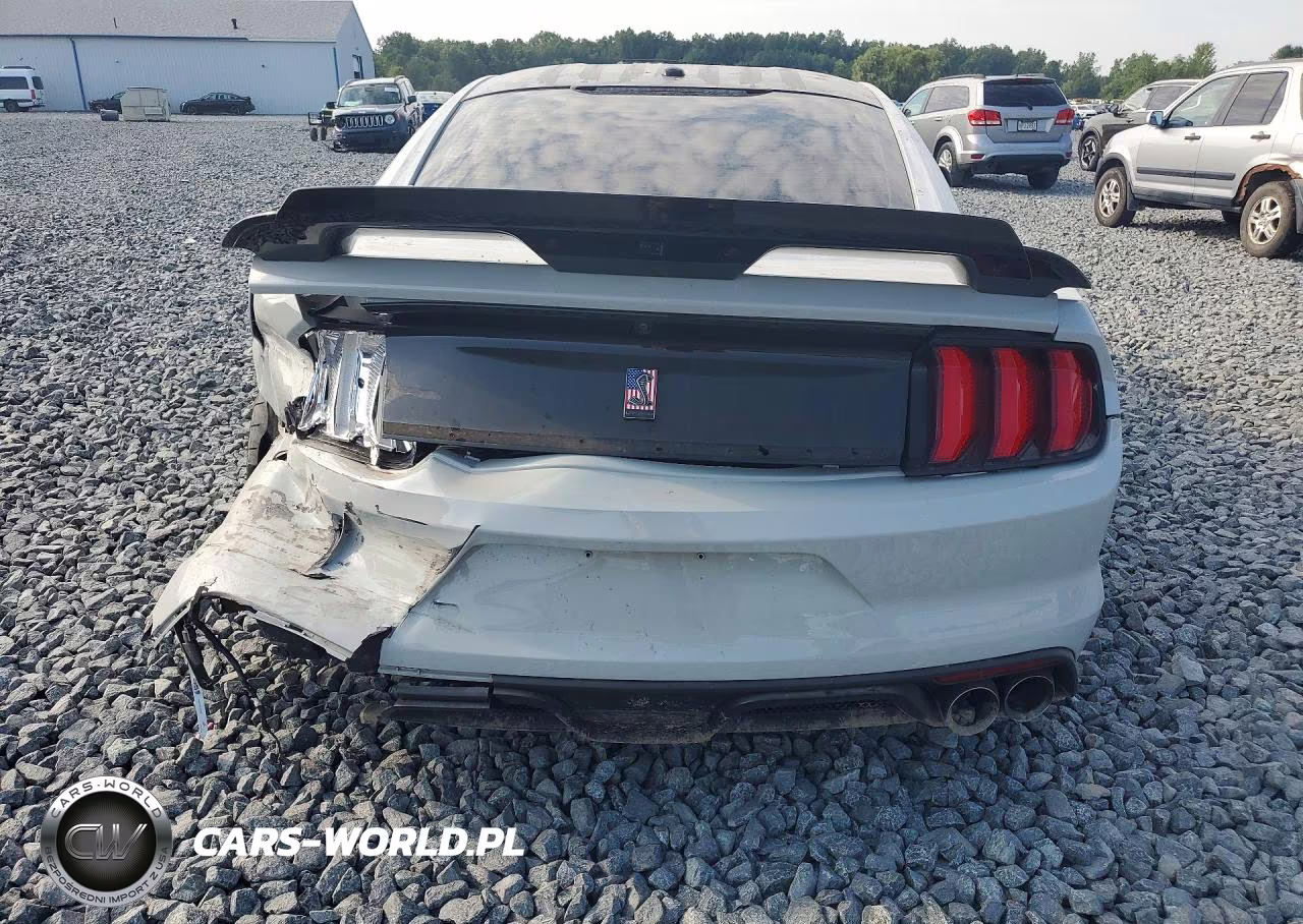 2017 Ford Mustang Shelby Gt350 VIN:1FA6P8JZ6H5525974 - 6