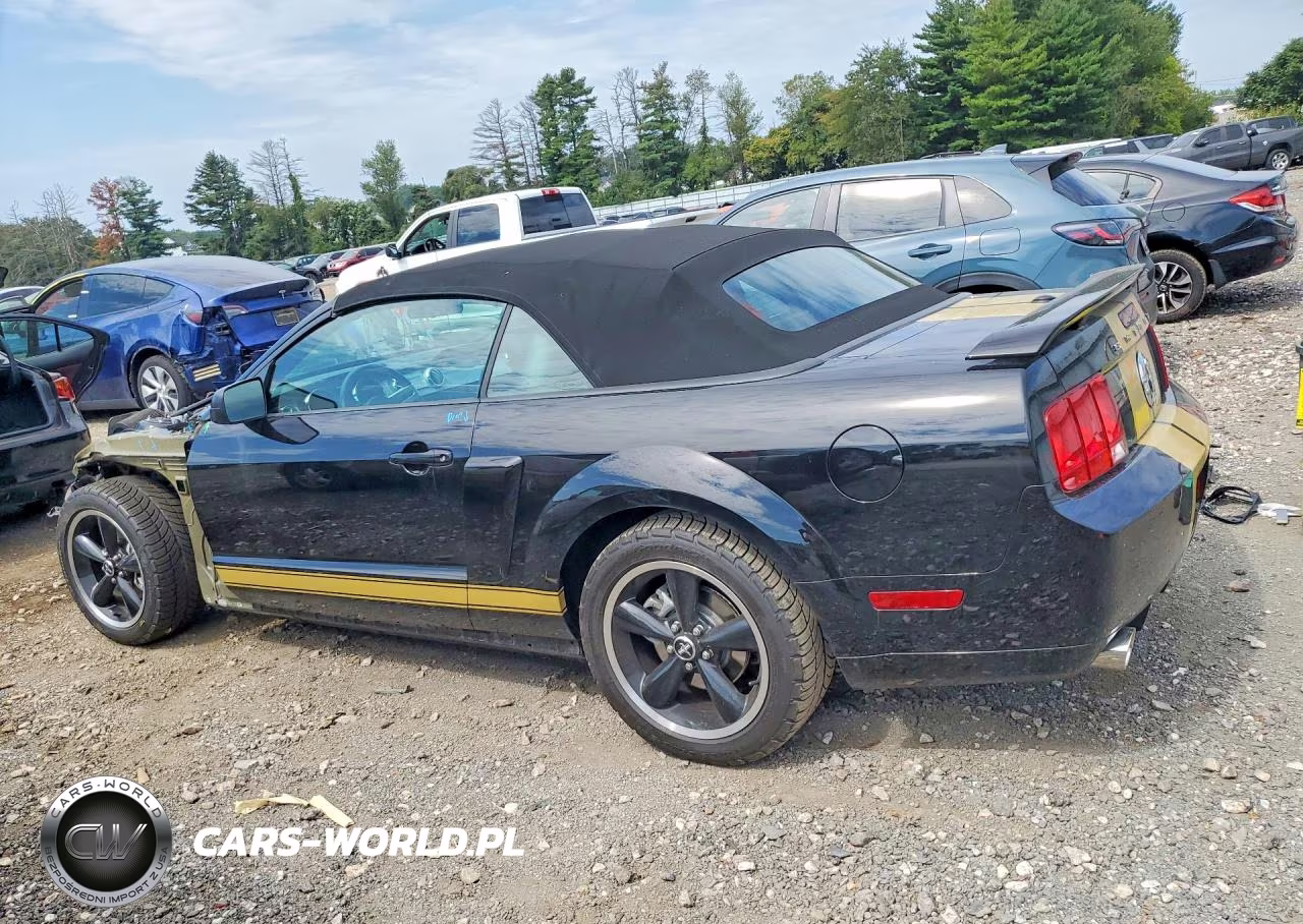 2007 Ford Mustang Gt VIN:1ZVHT85H675335801 - 2