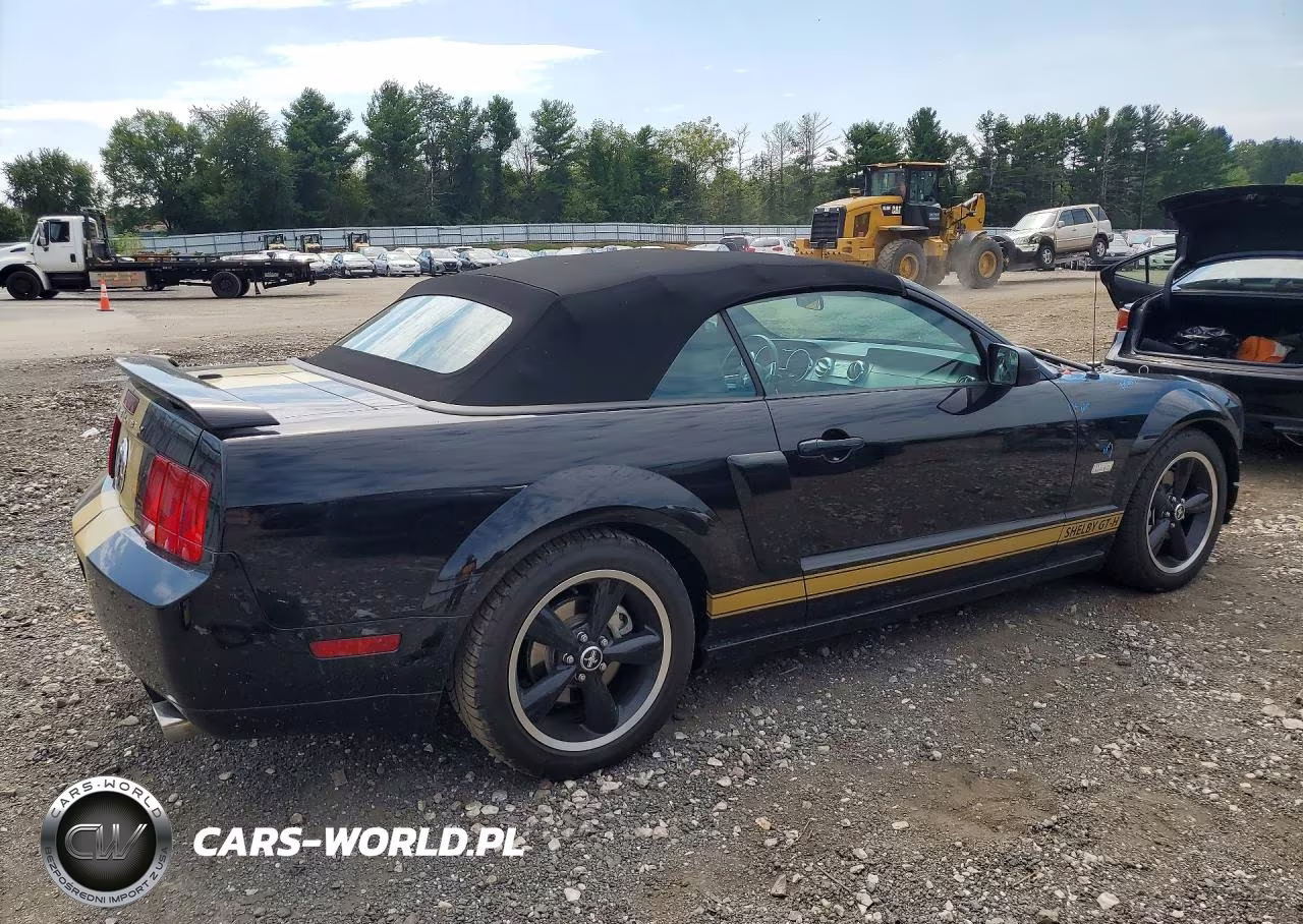 2007 Ford Mustang Gt VIN:1ZVHT85H675335801 - 3