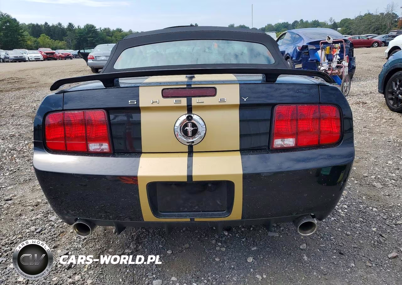 2007 Ford Mustang Gt VIN:1ZVHT85H675335801 - 6