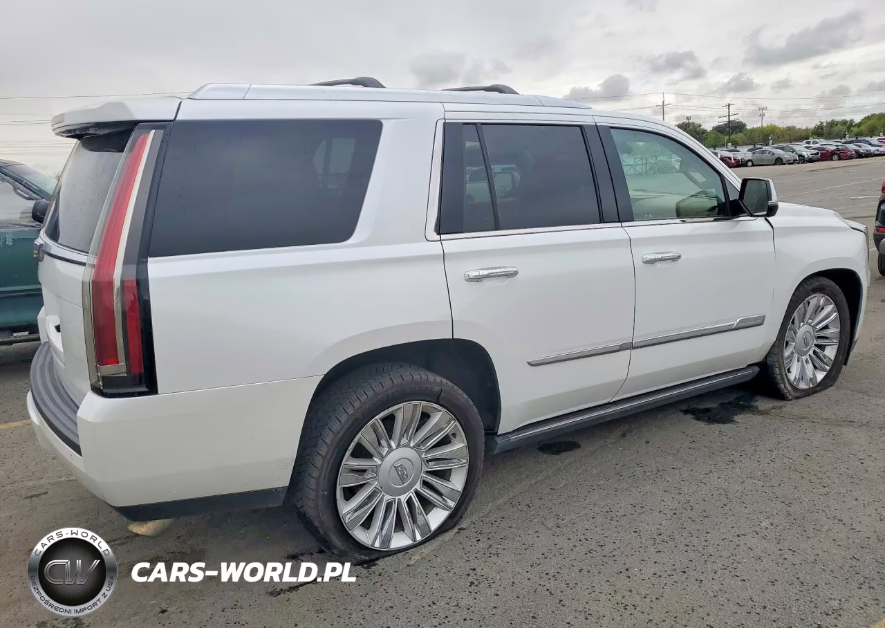 2016 Cadillac Escalade Platinum VIN:1GYS4DKJXGR407558 - 3