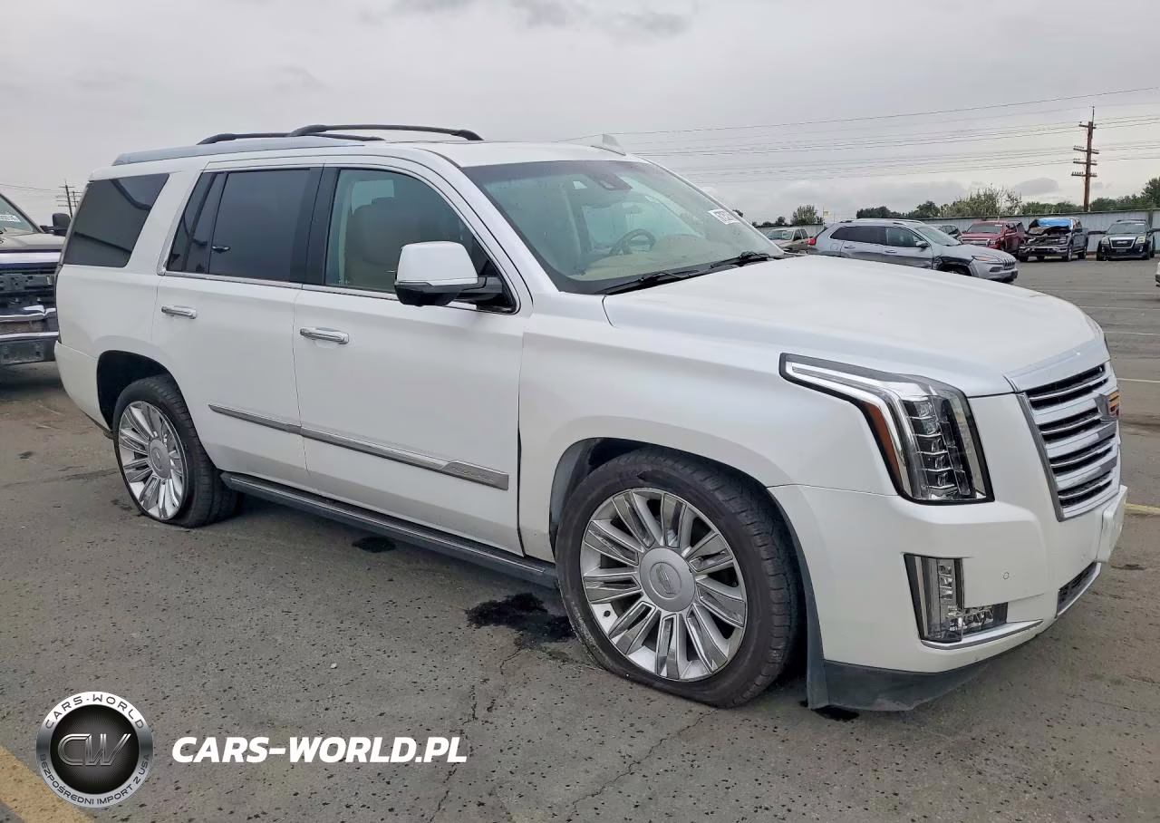 2016 Cadillac Escalade Platinum VIN:1GYS4DKJXGR407558 - 4