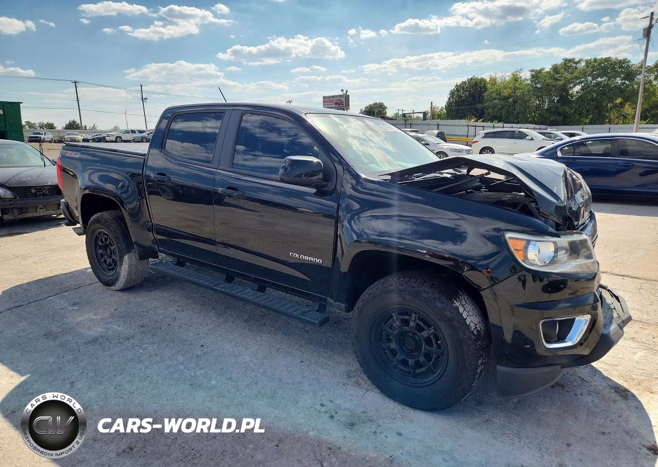 2016 Chevrolet Colorado Z71 VIN:1GCGTDE33G1183365 - 4