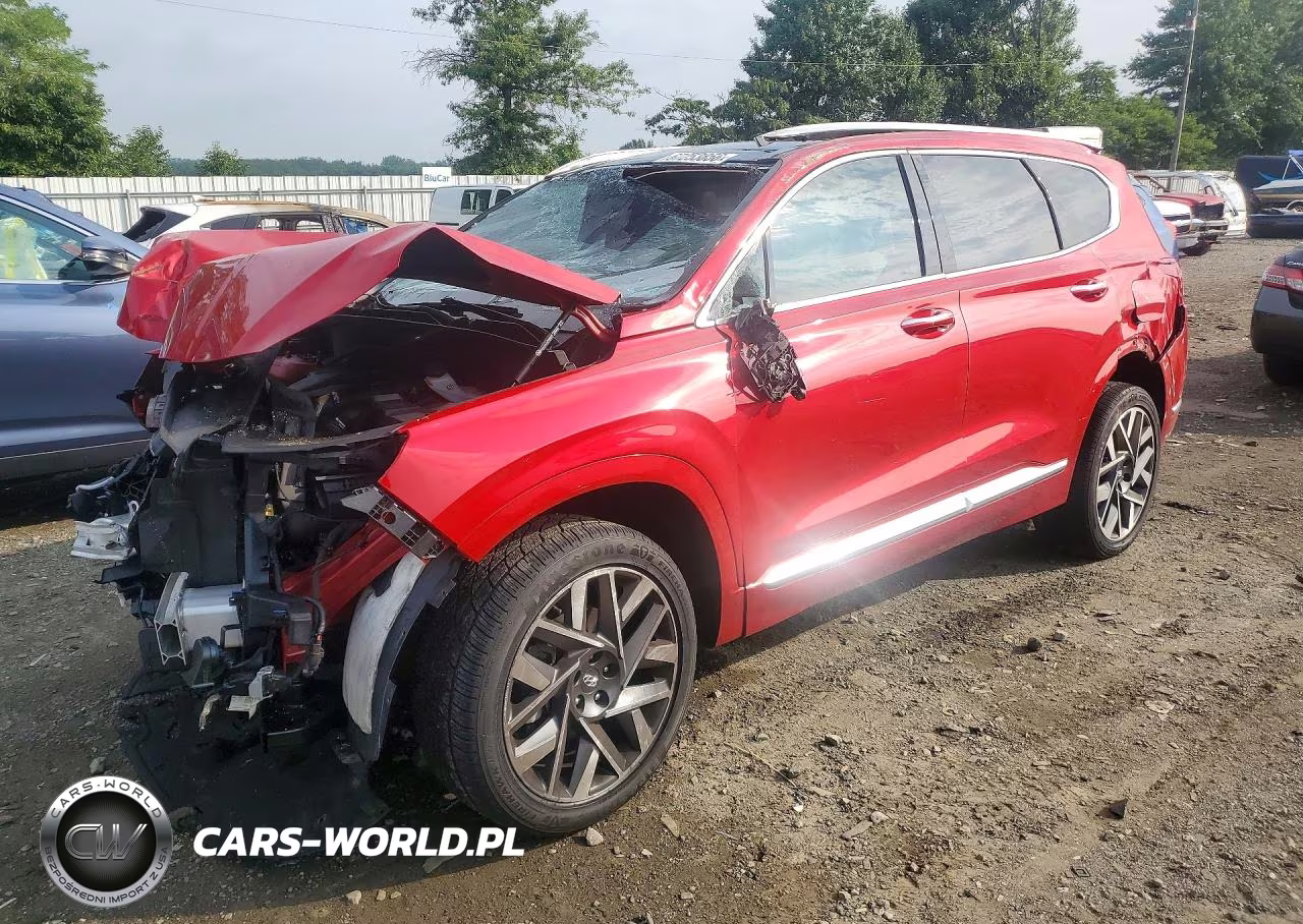 2023 Hyundai Santa Fe Calligraphy VIN:5NMS54AL7PH594526 - 1