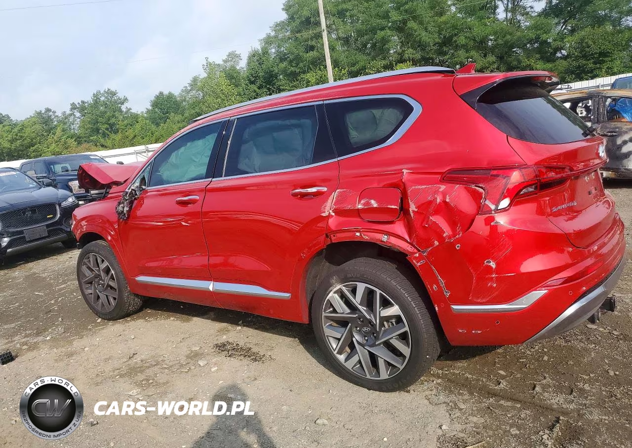2023 Hyundai Santa Fe Calligraphy VIN:5NMS54AL7PH594526 - 2