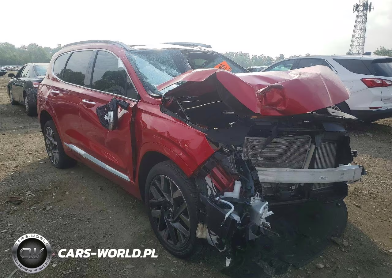2023 Hyundai Santa Fe Calligraphy VIN:5NMS54AL7PH594526 - 4