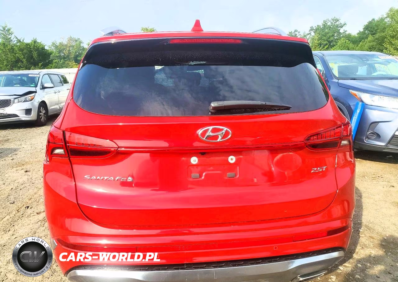 2023 Hyundai Santa Fe Calligraphy VIN:5NMS54AL7PH594526 - 6