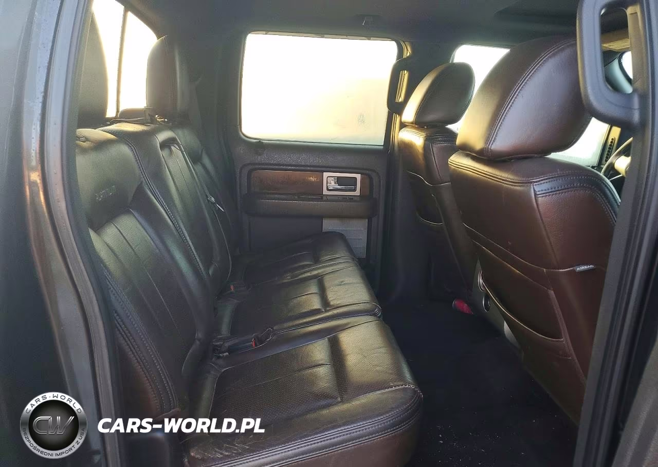 2010 Ford F150 Supercrew VIN:1FTFW1CV1AFA32525 - 10