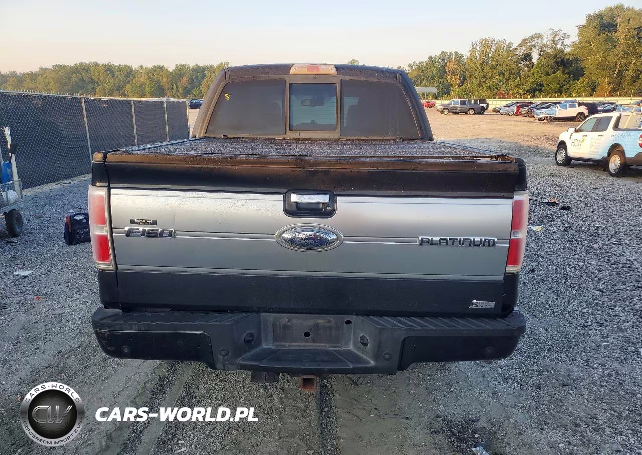 2010 Ford F150 Supercrew VIN:1FTFW1CV1AFA32525 - 6