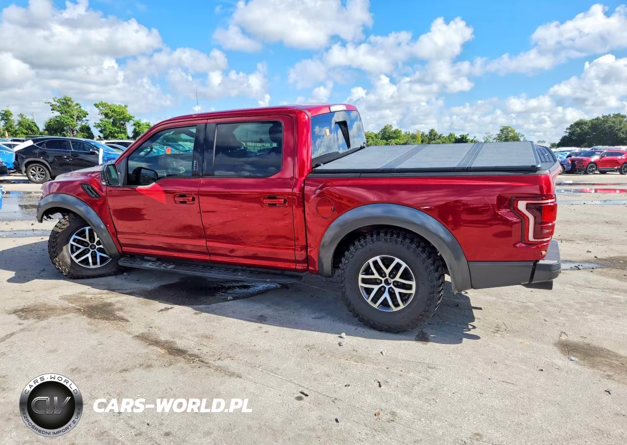 2017 Ford F150 Raptor VIN:1FTFW1RGXHFB34103 - 2