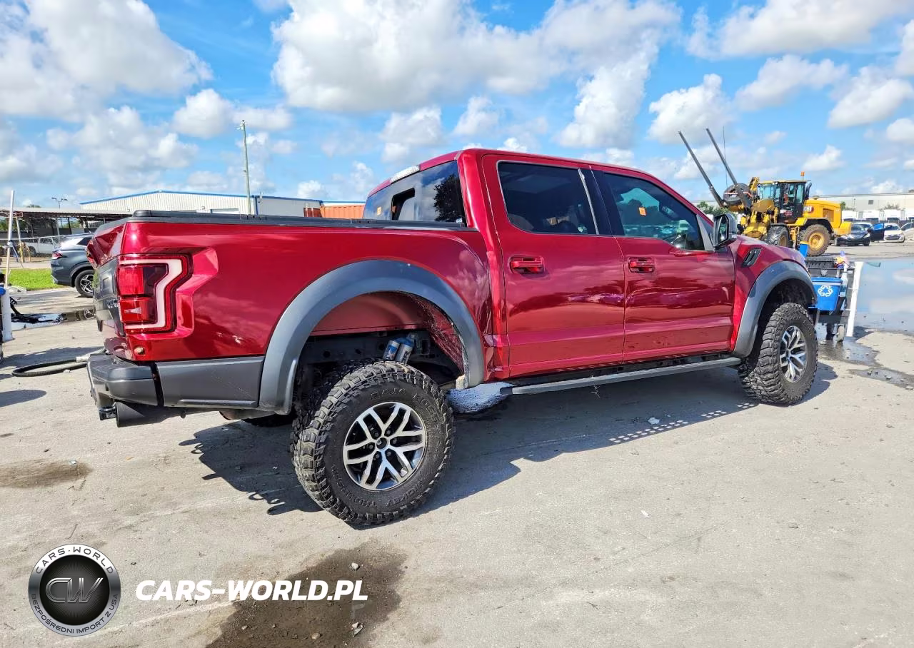 2017 Ford F150 Raptor VIN:1FTFW1RGXHFB34103 - 3