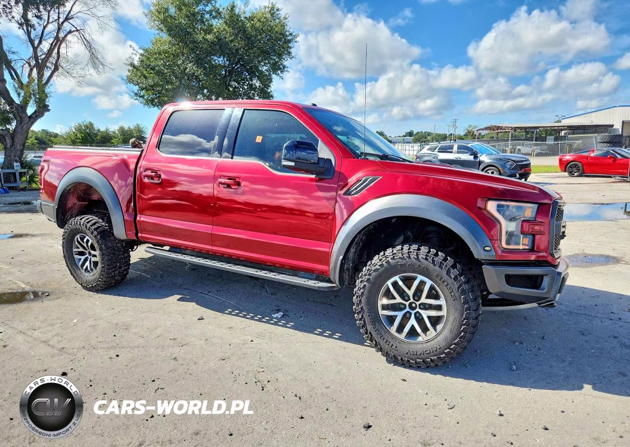 2017 Ford F150 Raptor VIN:1FTFW1RGXHFB34103 - 4