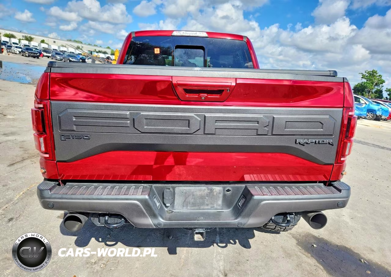 2017 Ford F150 Raptor VIN:1FTFW1RGXHFB34103 - 6
