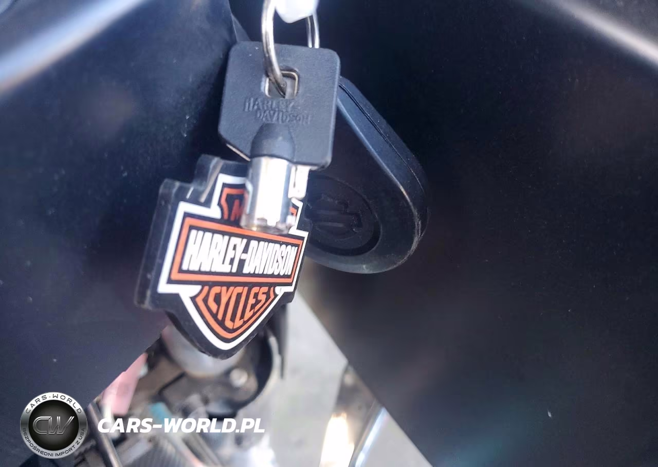 2019 Harley-Davidson Fltrx VIN:1HD1KHC32KB679441 - 8