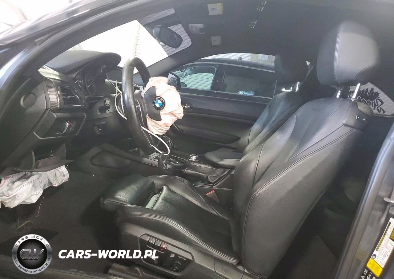 2015 BMW M235Xi VIN:WBA1J9C56FV371461 - 7